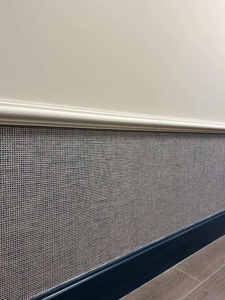 IMG 2356